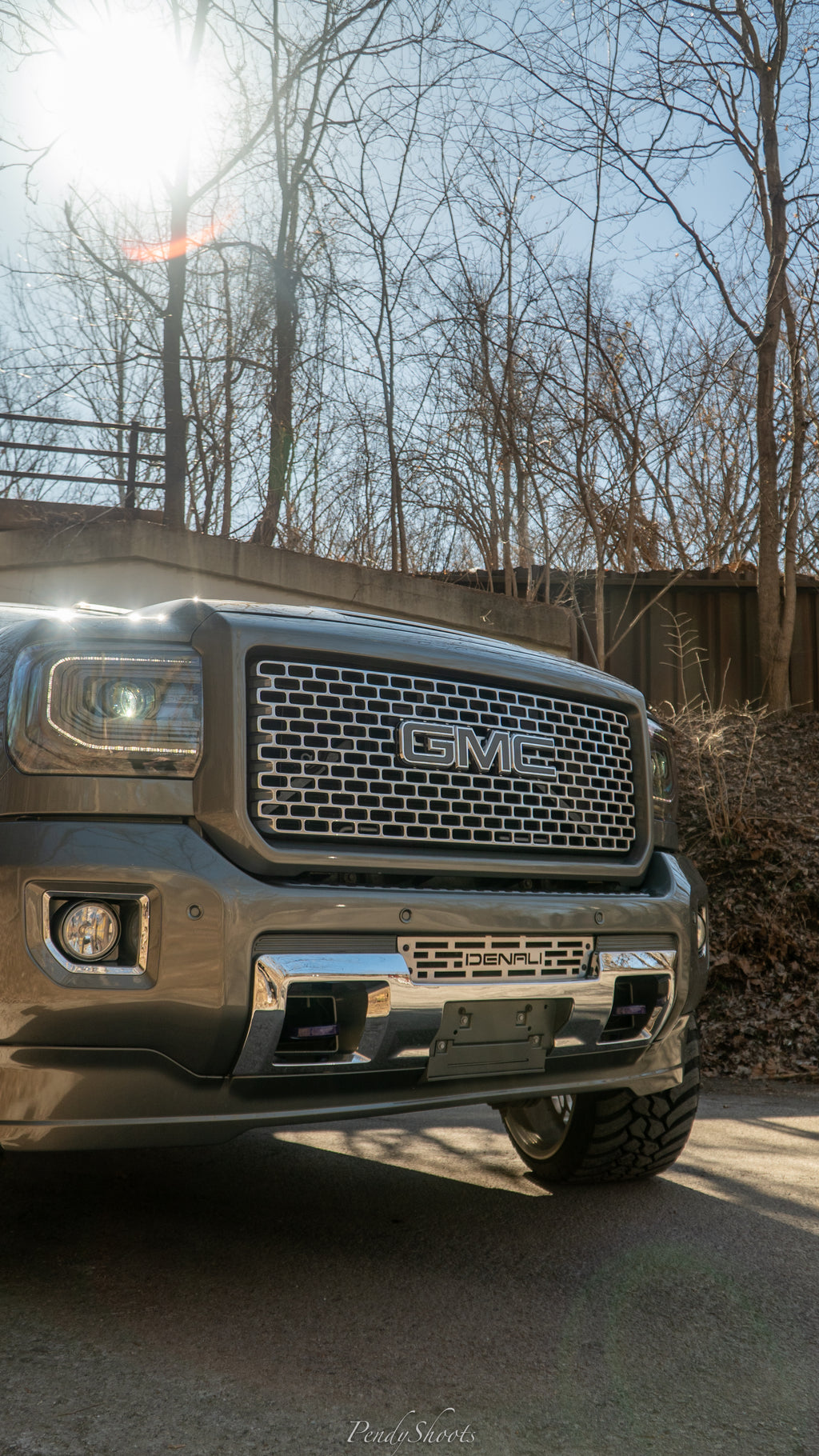 Denali Grill Insert